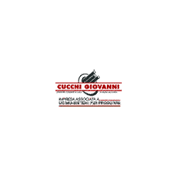 Logo di CUCCHI GIOVANNI E C.