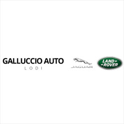 Logo di CONCESSIONARIA GALLUCCIO ANGELO