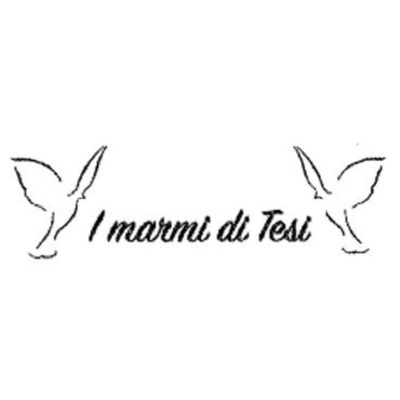 Logo di I MARMI DI TESI