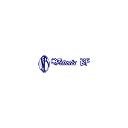 Logo di VETRERIA BF