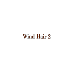 Logo di WIND HAIR 2