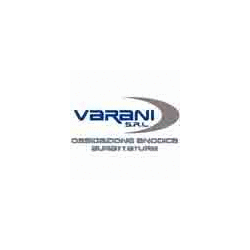 Logo di VARANI