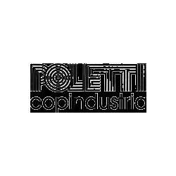 Logo di POLETTI COPINDUSTRIA