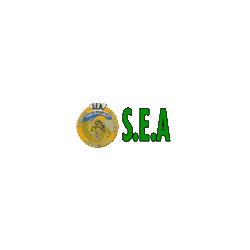 Logo di S.E.A.