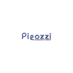 Logo di PIGOZZI LUCIO S.R.L.