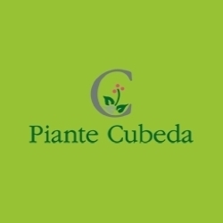 Logo di VIVAIO PIANTE CUBEDA