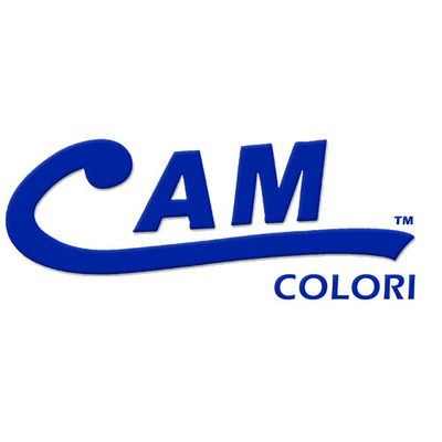 Logo di INDUSTRIA PITTURA - VERNICI - RIVESTIMENTI D'ESTERNI - CAM COLORI