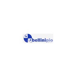 Logo di BELLINI PIO E C.