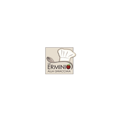 Logo di RISTORANTE DA ERMINIO ALLA GHIACCIAIA