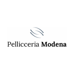 Logo di PELLICCERIA MODENA