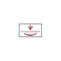 Logo di ANTONINO DE SIMONE