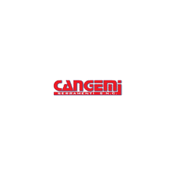 Logo di CANGEMI SERRAMENTI