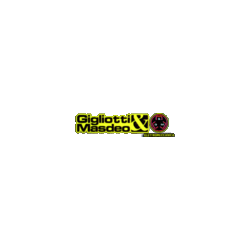 Logo di GIGLIOTTI & MASDEO ELETTROMECCANICA