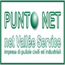 Logo di NET VALLEE SERVICE