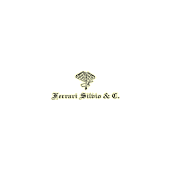 Logo di FERRARI SILVIO