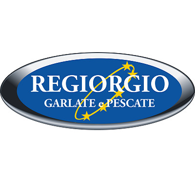 Logo di REGIORGIO SERVICE