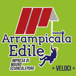 Logo di ARRAMPICATA EDILE