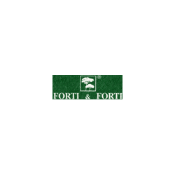 Logo di FORTI E FORTI
