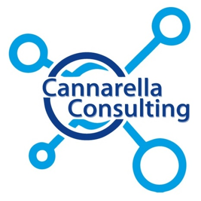 Logo di CANNARELLA CONSULTING