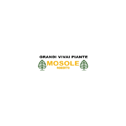 Logo di GRANDI VIVAI ROBERTO MOSOLE - L'ARTE DEL SASSO