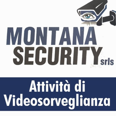 Logo di MONTANA SECURITY