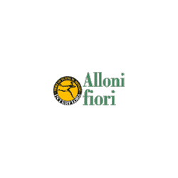 Logo di ALLONI FIORI