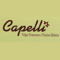 Logo di CAPELLI VOLPE E PUCINO
