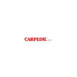 Logo di CARPEDIL IMPRESA DI COSTRUZIONI