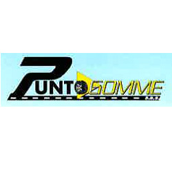 Logo di PUNTOGOMME SAS