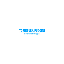 Logo di TORNITURA PUGGINI