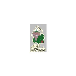 Logo di DISTILLERIE BERTA