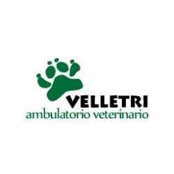 Logo di AMBULATORIO VETERINARIO VELLETRI DOTT.SSA SANTORI E DR. TOSTO