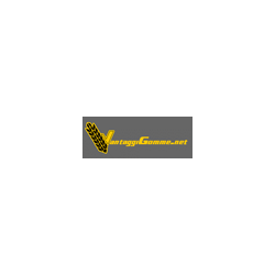Logo di VANTAGGI GOMME SAS