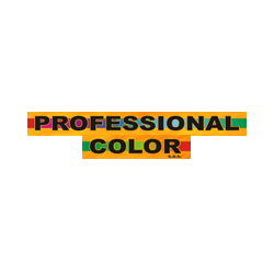Logo di PROFESSIONAL COLOR SAS