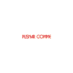Logo di PUSNAR GOMME