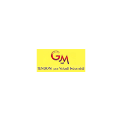 Logo di GM TENDONI