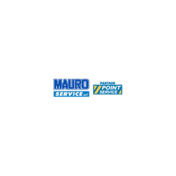 Logo di MAURO SERVICE