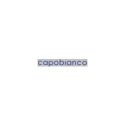 Logo di CAPOBIANCO AUTO