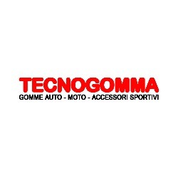 Logo di TECNOGOMMA