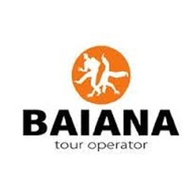 Logo di BAIANA VIAGGI