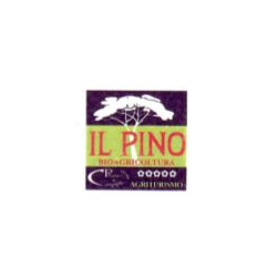 Logo di AGRITURISMO IL PINO BIOAGRICOLTURA