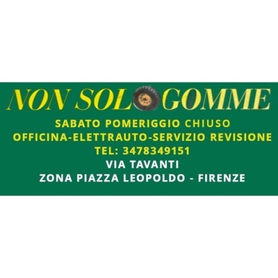 Logo di NON SOLO GOMME