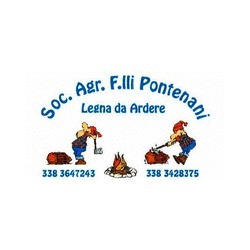 Logo di LEGNA PONTENANI