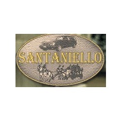 Logo di IMPRESA FUNEBRE SANTANIELLO
