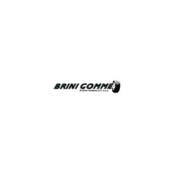 Logo di BRINI GOMME S.R.L.