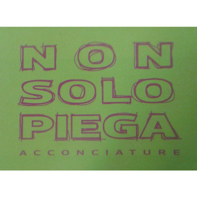 Logo di NON SOLO PIEGA