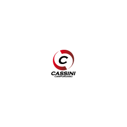 Logo di AUTOFFICINA CASSINI