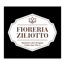 Logo di FIORERIA ZILIOTTO
