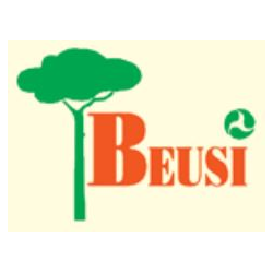 Logo di BEUSI
