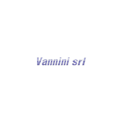 Logo di AUTOFFICINA VANNINI
